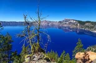 Crater Lake-9782.jpg